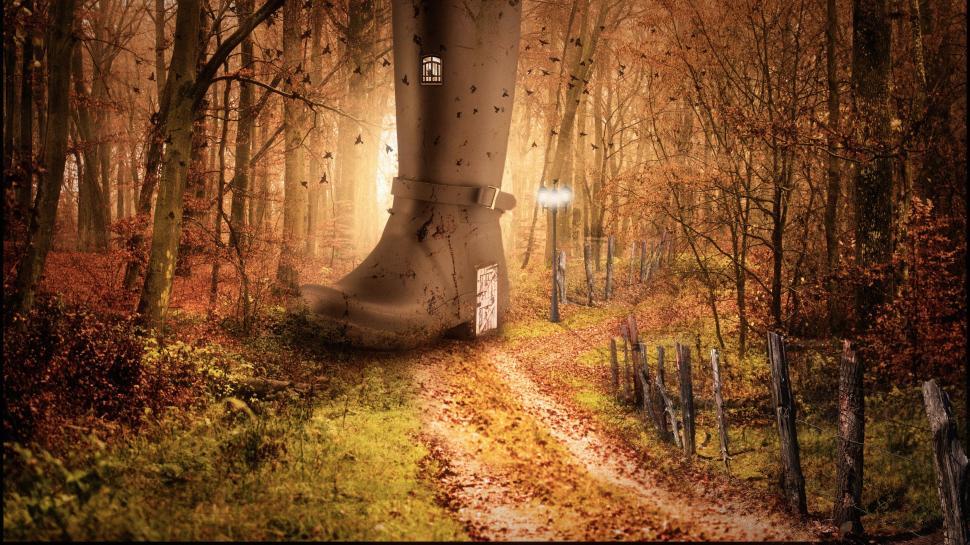 Free Image of Boot house in forest 