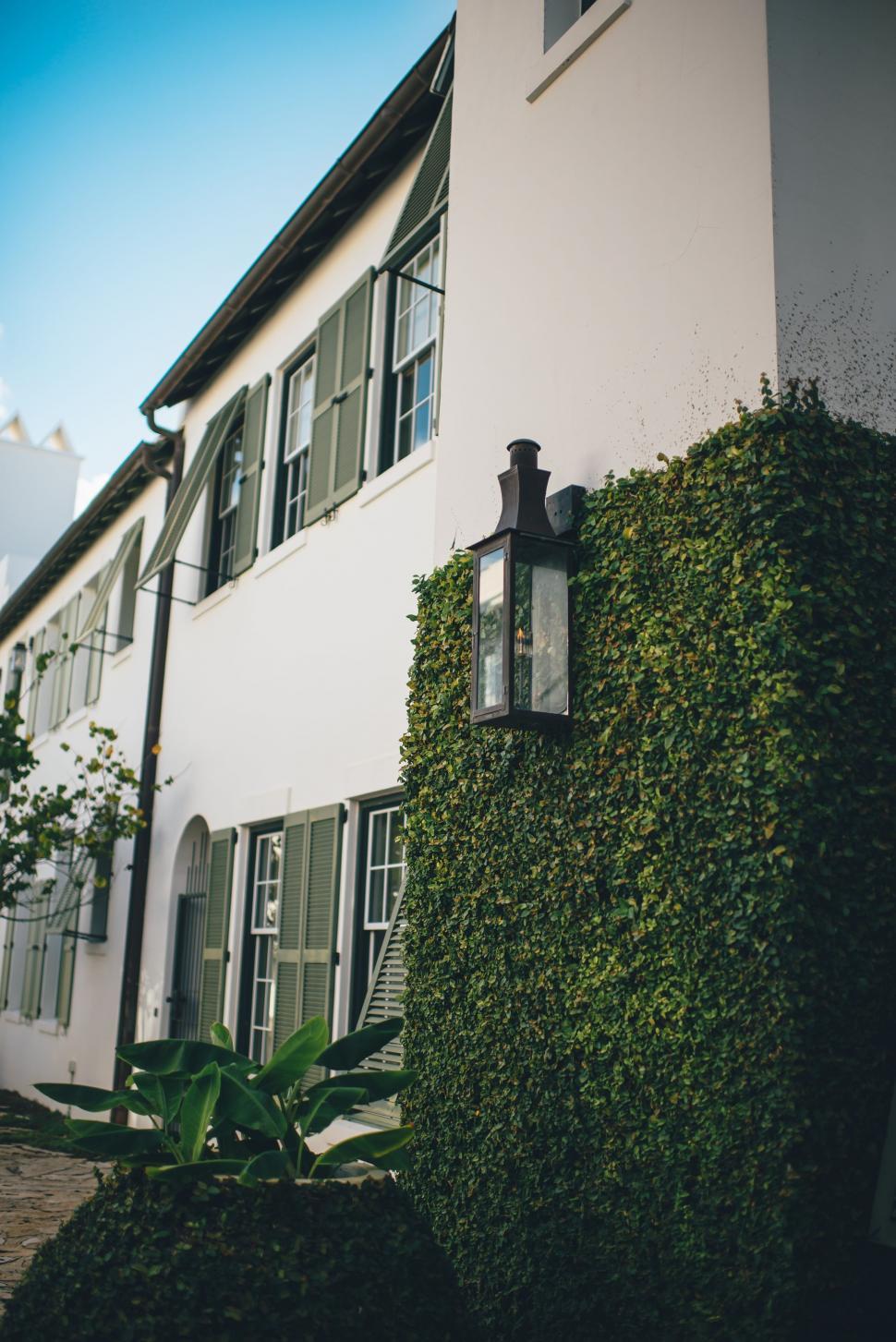 Free Image of House Facade with Green Leaves  