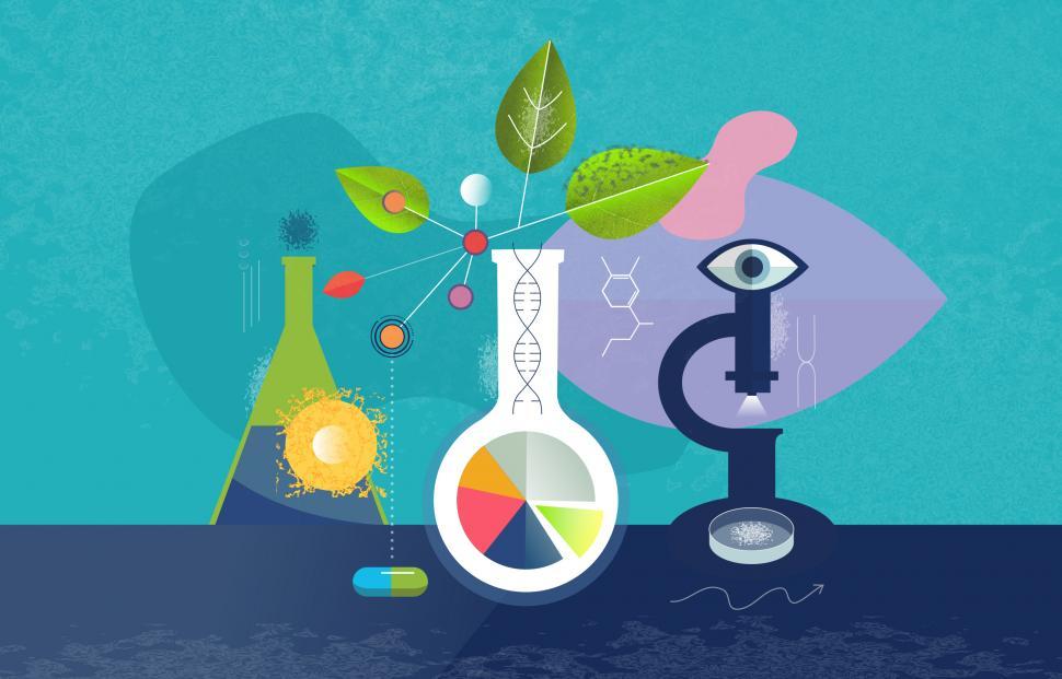 Free Image of Biomedical Research - Scientific Research - Biotech 