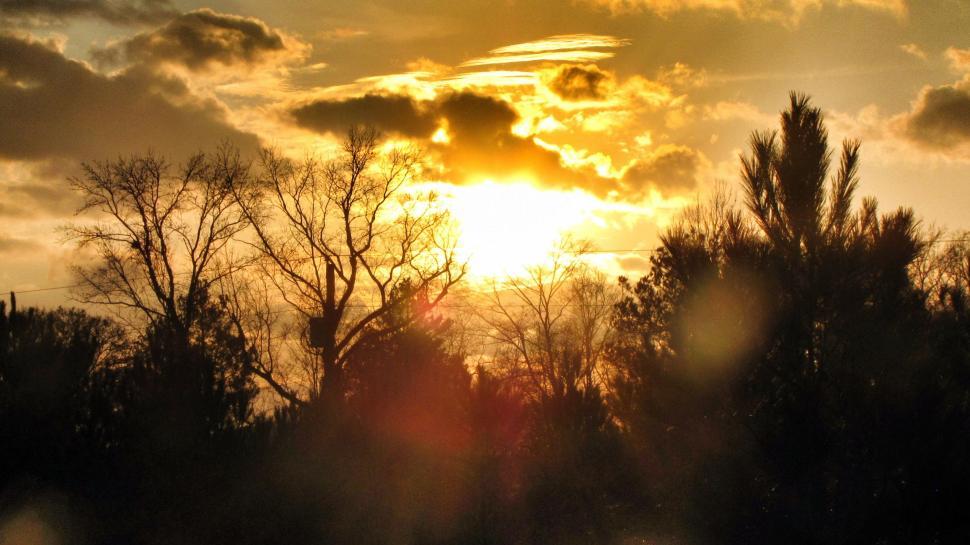 Free Image of Orange Sunset With Trees  