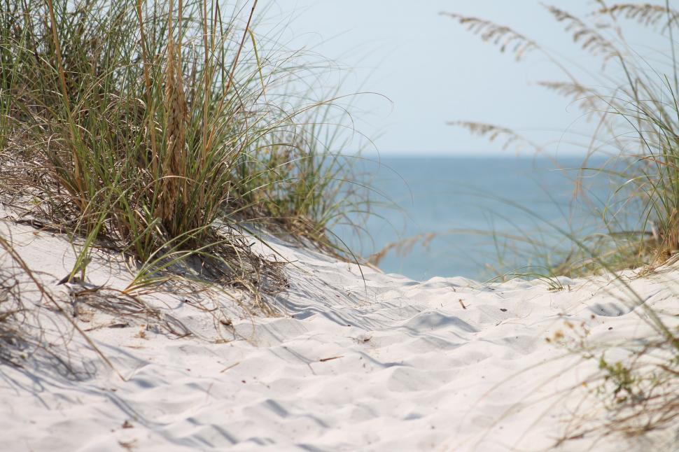 Free Image of White Sand Beach  