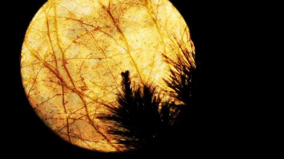 Free Image of Full moon in black sky 
