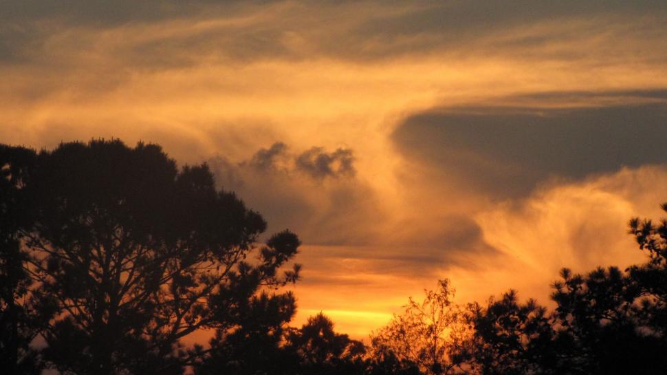 Free Image of Trees and Sunset Sky  
