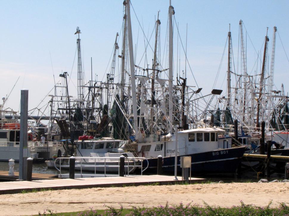 Free Image of Fishing Boats  