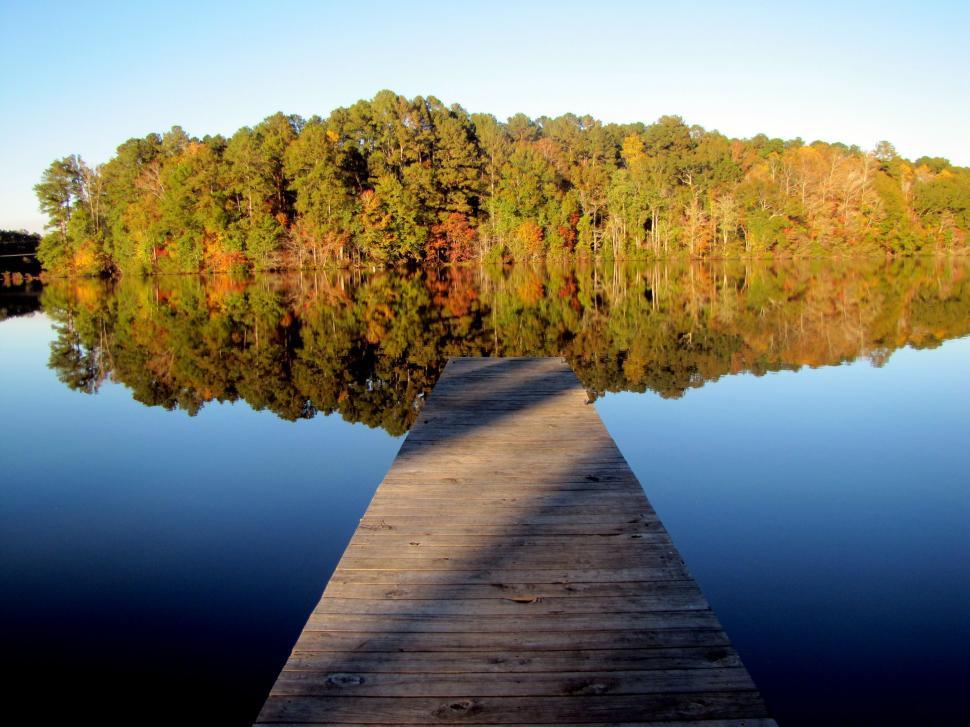 Free Image of Wooden Pier and Lake With Trees  