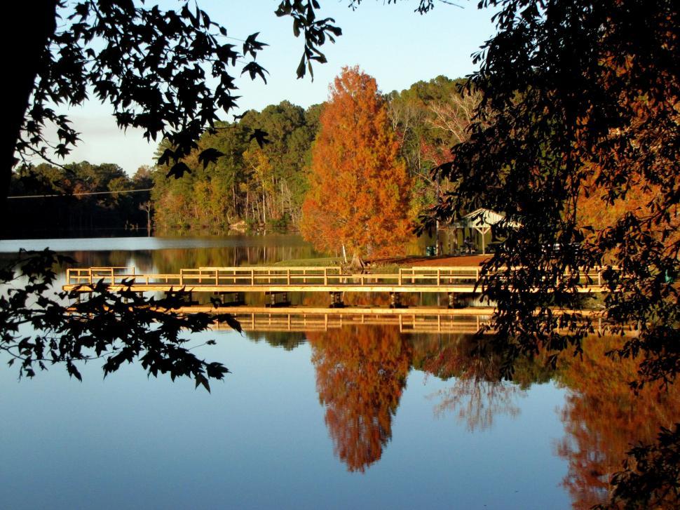 Free Image of Autumn Trees and Pier With Lake  