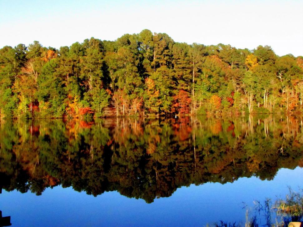 Free Image of Autumn Trees and Lake  