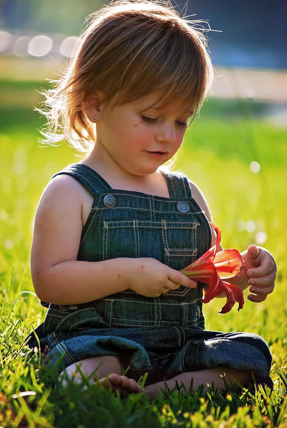 Free Image of Cute Little Girl with Flower - Looking Down  