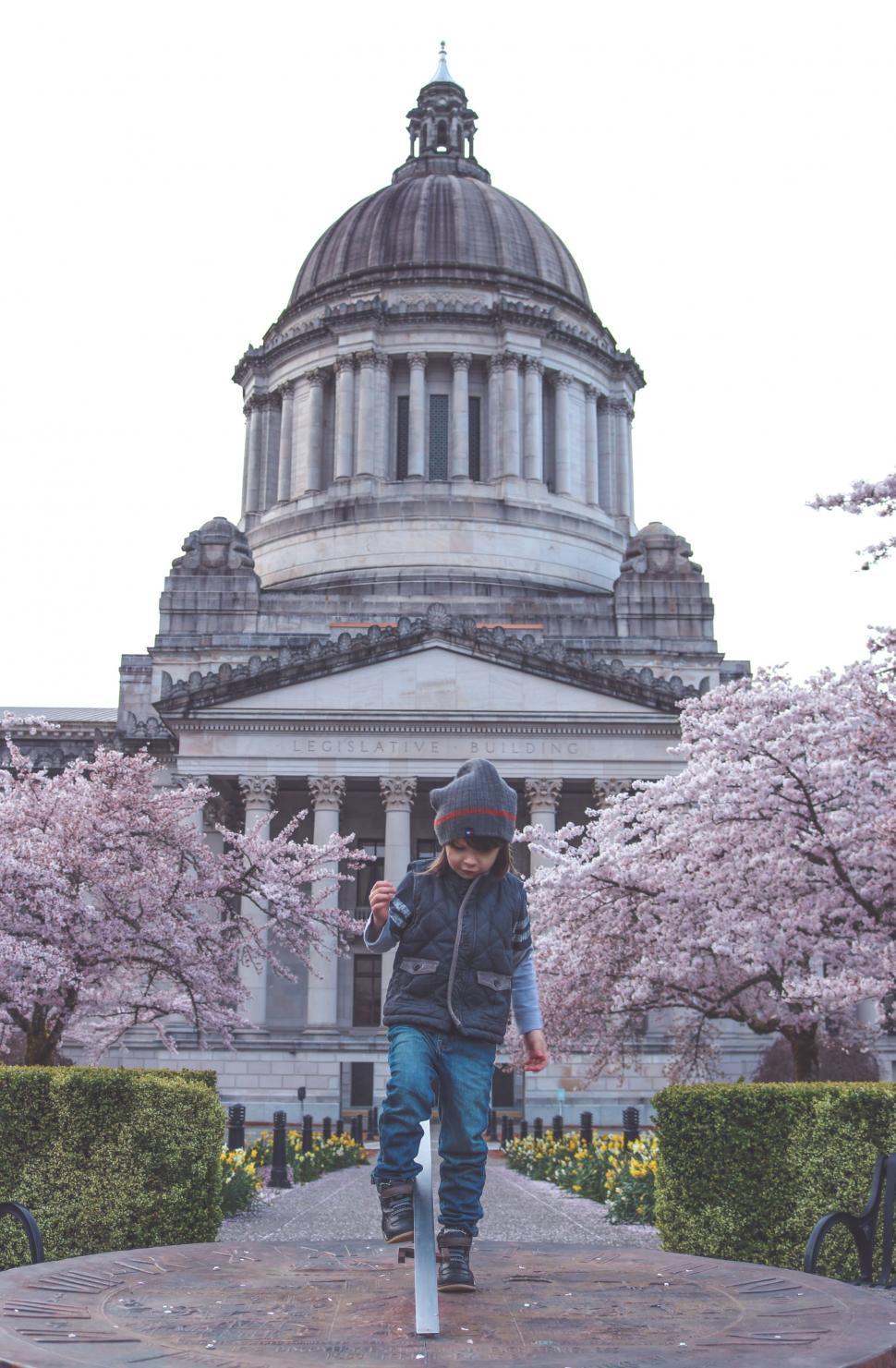 Free Image of Little Boy and Washington State Capitol Building With Cherry Blossom 