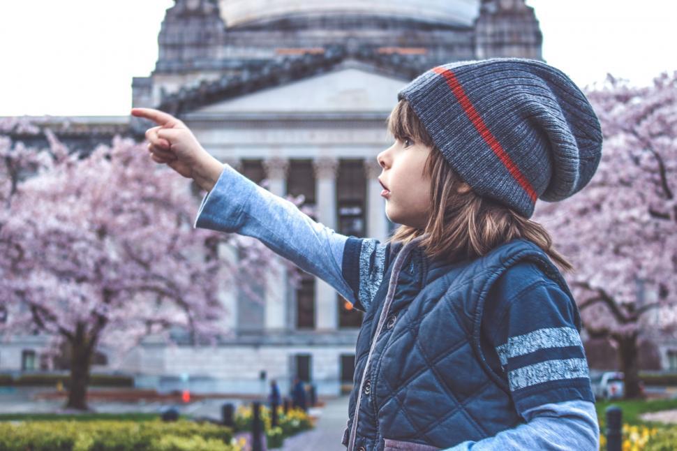 Free Image of Little Boy With Cherry Blossom Trees - Looking away  