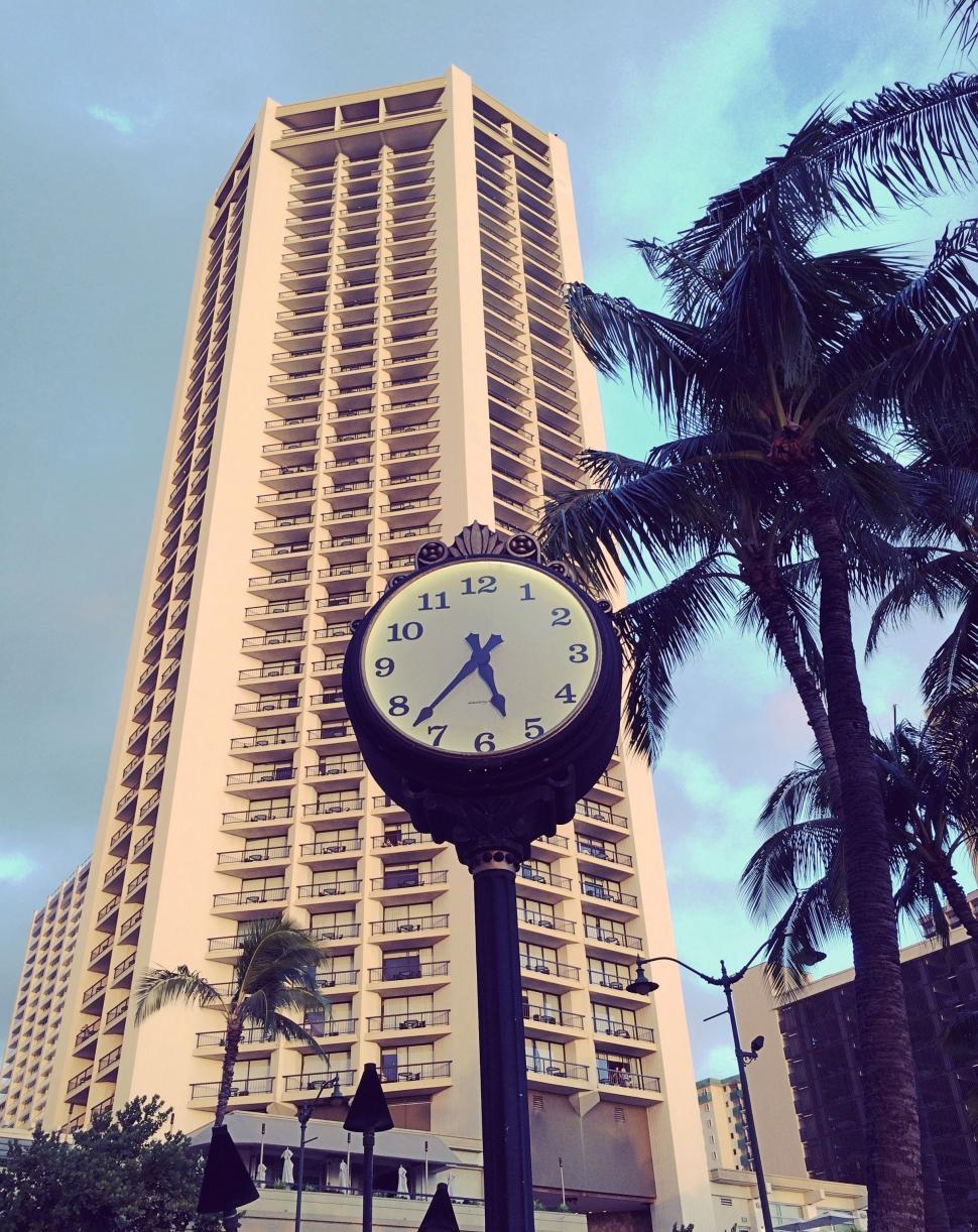 Free Image of Hyatt Regency Waikiki With Palm Trees and Blue Sky  