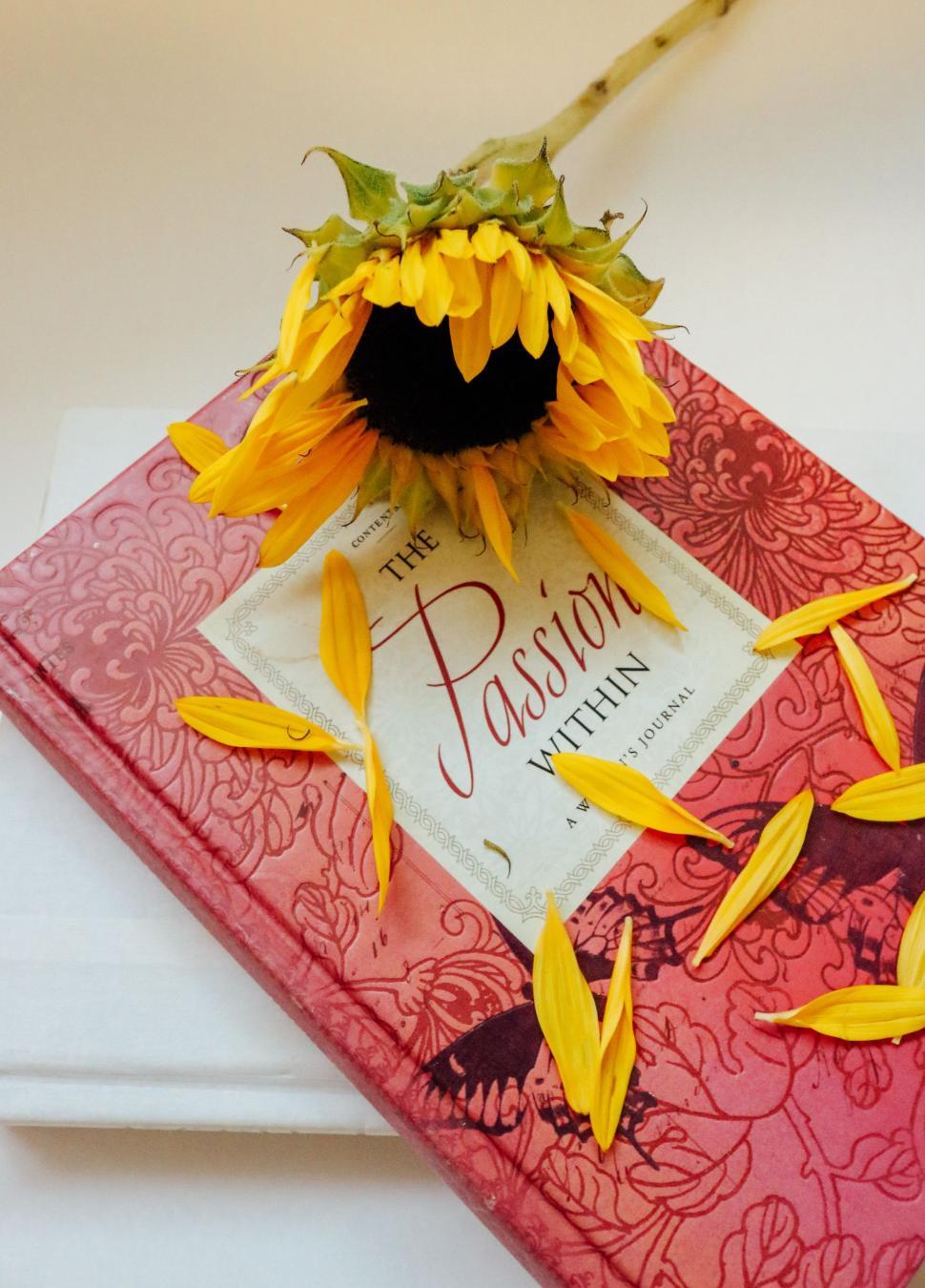 Free Image of Closed book with yellow flower petals 