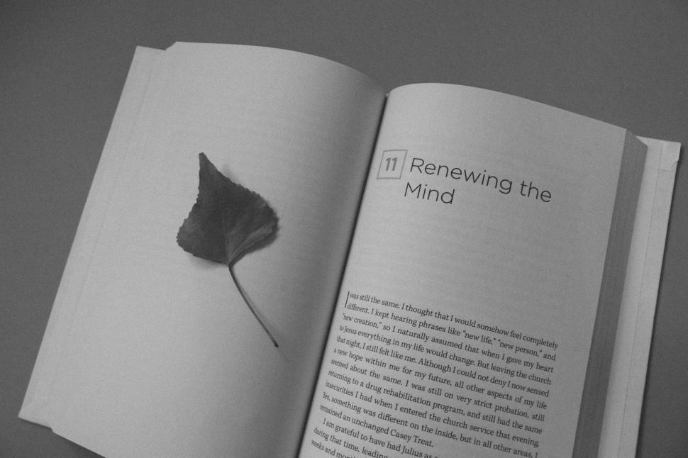 Free Image of Open Book with pages  