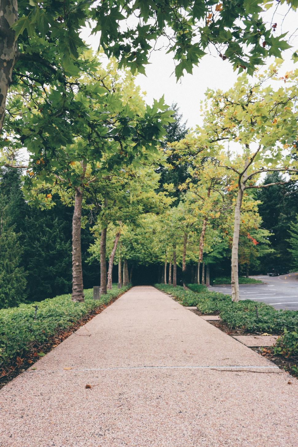 Free Image of Empty Pathway  