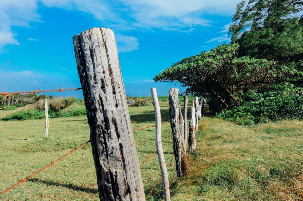 Free Image of Fencing at the farm 