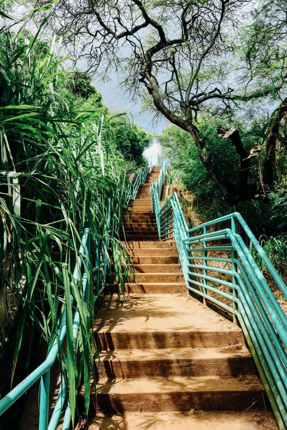 Free Image of Stairs for hikers  