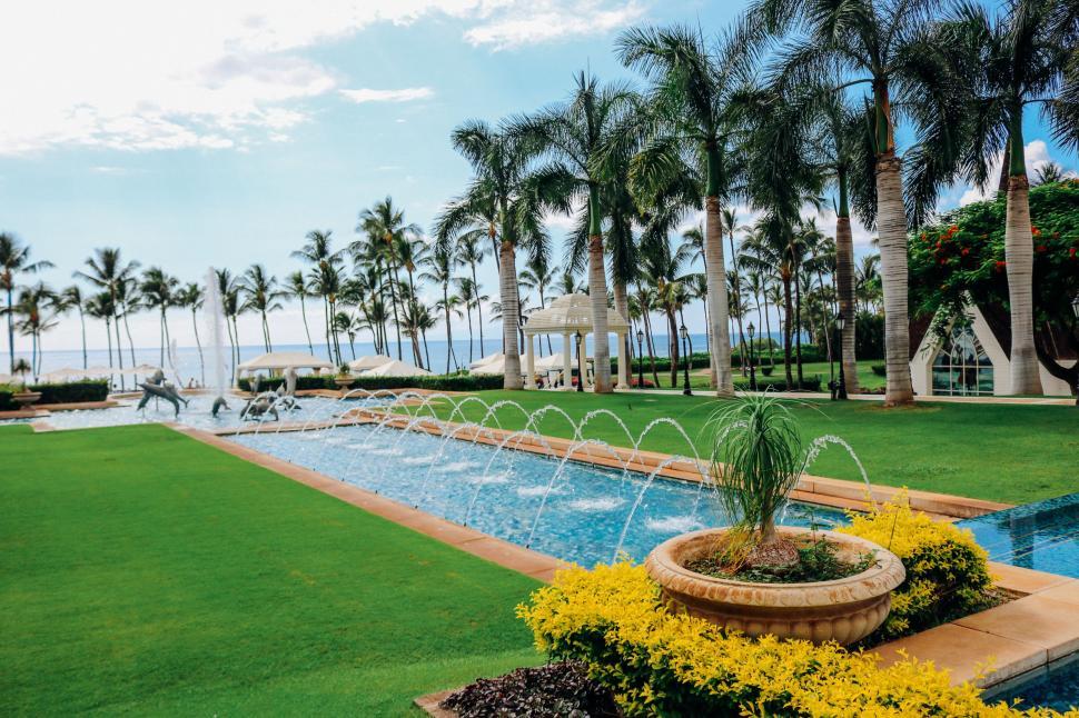 Free Image of Fountain Garden  