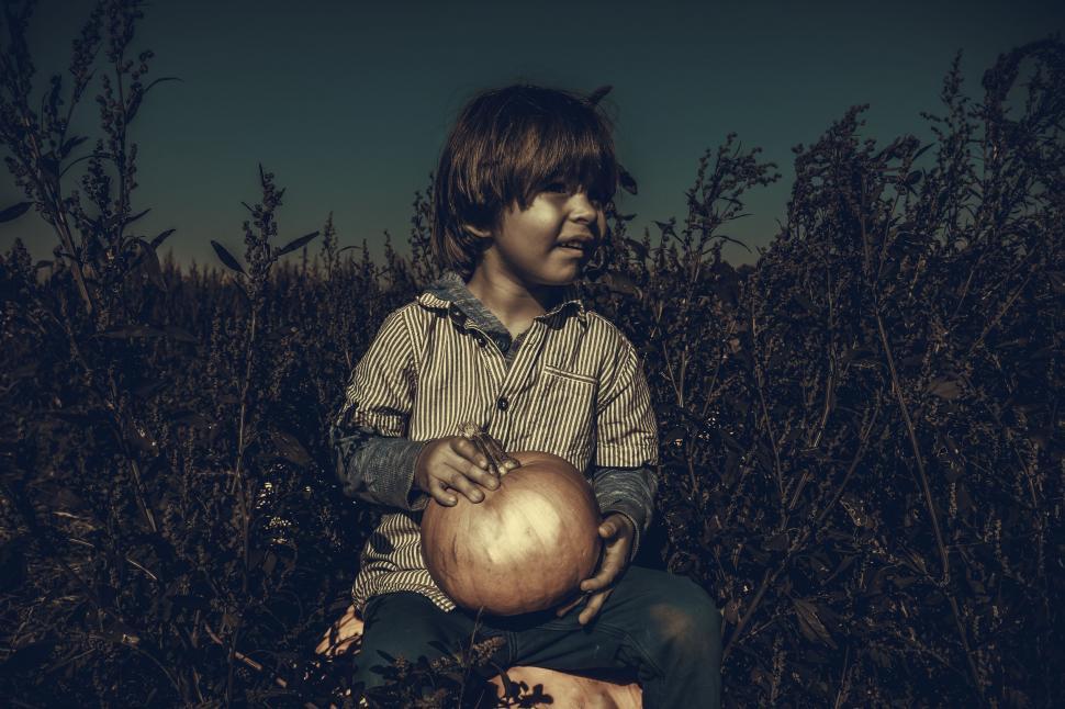 Free Image of Little Boy with pumpkin - looking away 