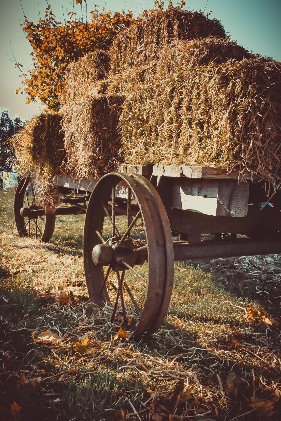 Free Image of Hay bales 