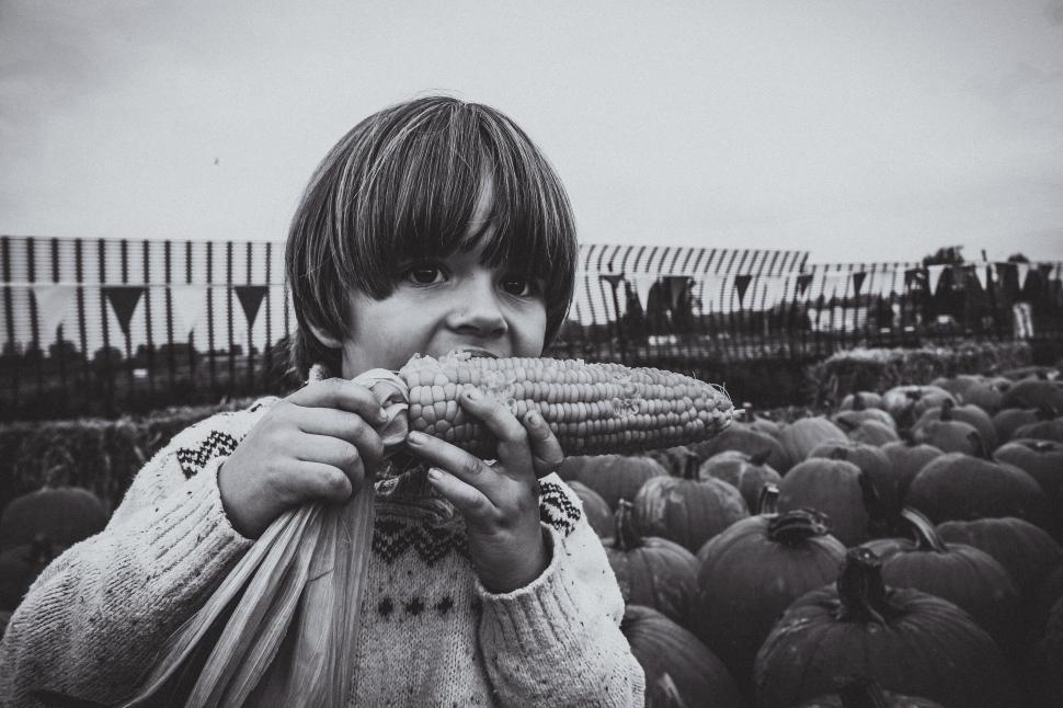 Free Image of Little Boy eating corn at outdoor farmers market  