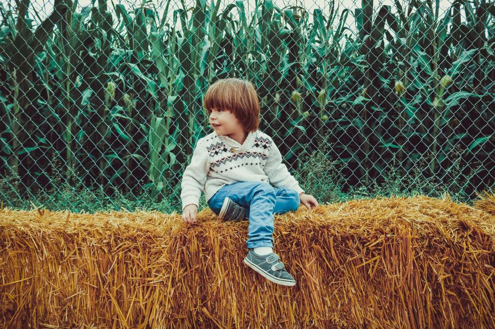 Free Image of Little Boy and Hay bales  
