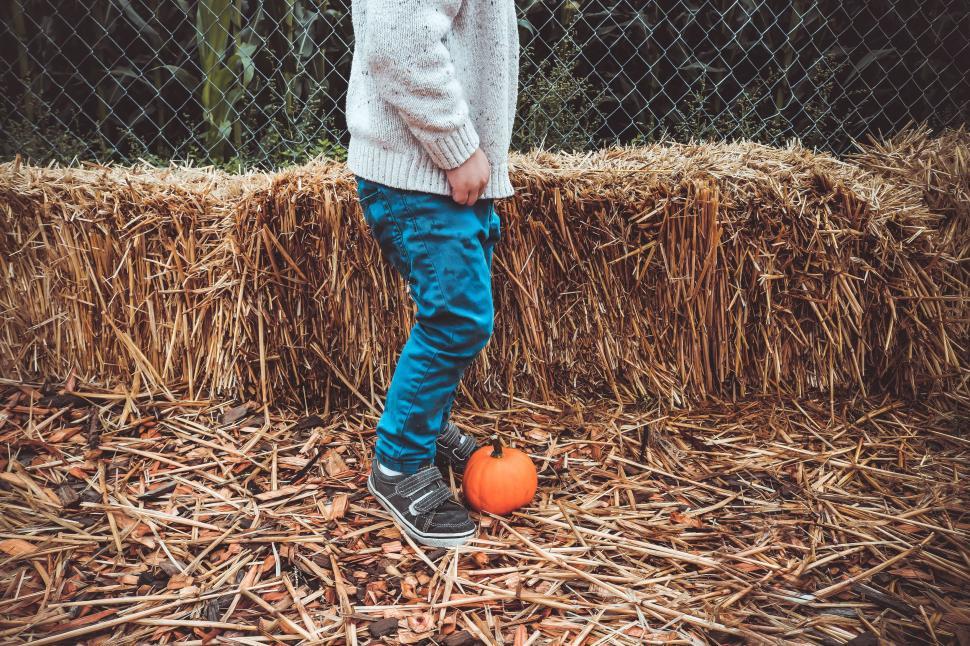 Free Image of Little Boy and Pumpkin with Hay 