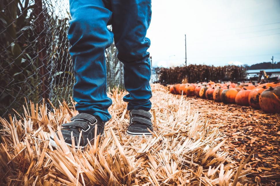 Free Image of Boy Legs and Pumpkins  