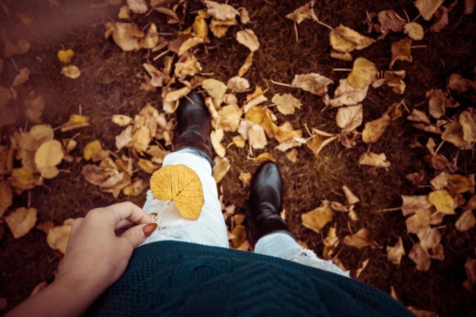 Free Image of Autumn Leaves And Woman  