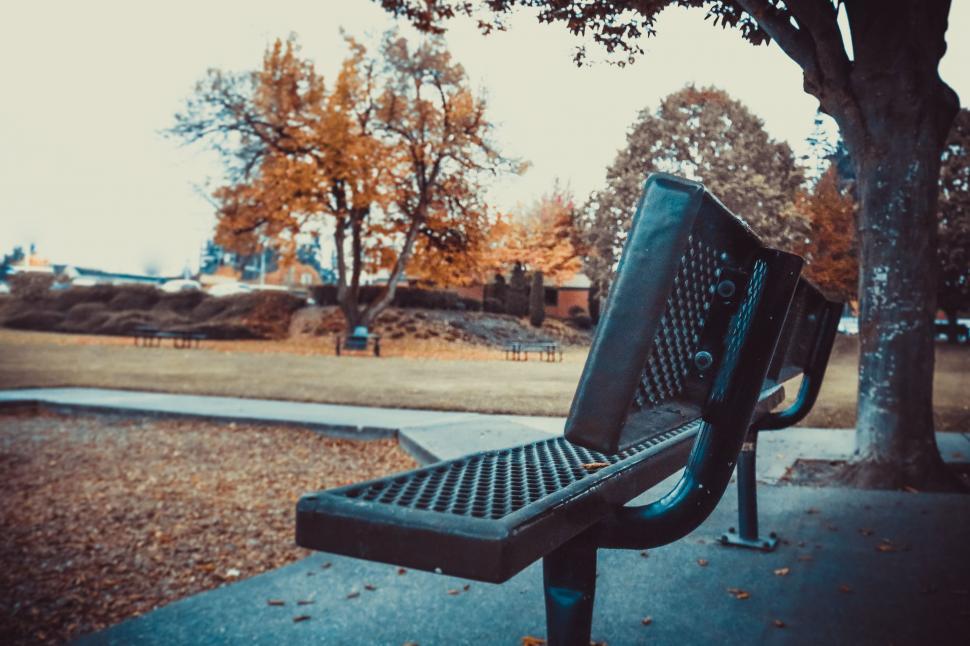 Free Image of Iron Bench and Autumn Trees  