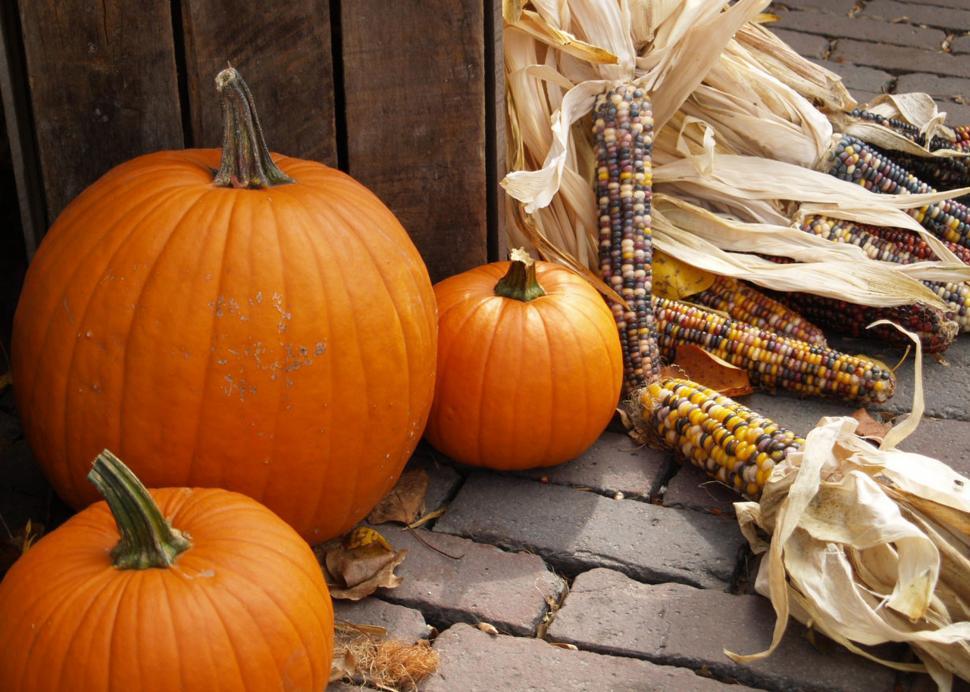 Free Image of Thanksgiving Time 