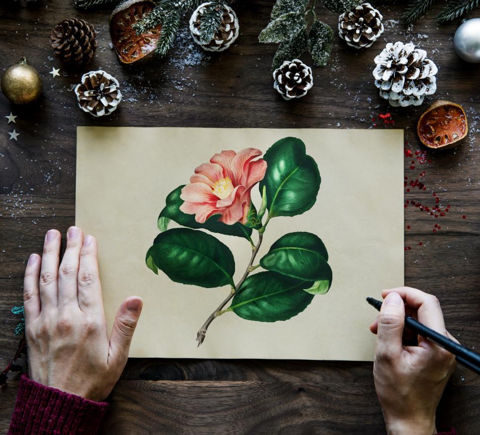 Free Image of Overhead view of a person drawing a floral picture 