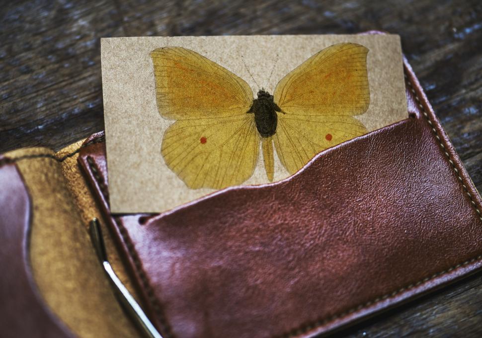 Free Image of A pressed butterfly picture half inserted into a wallet 