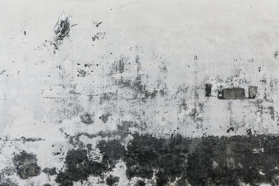 Free Image of Grey and white paint weathered texture 
