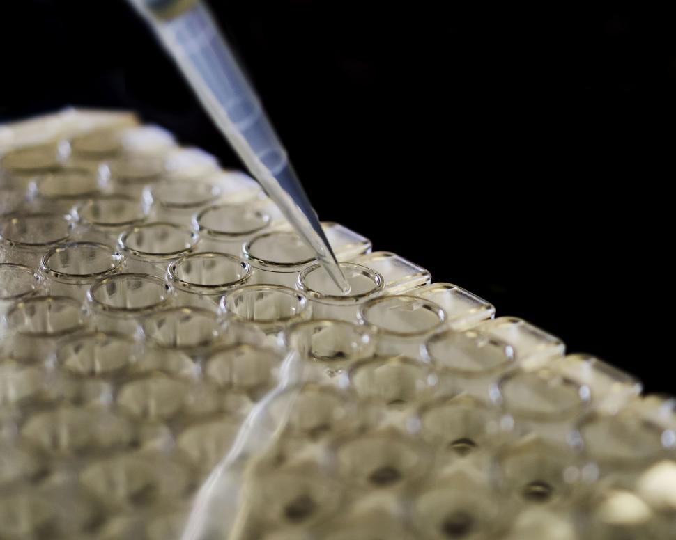 Free Image of Micro-pipette 