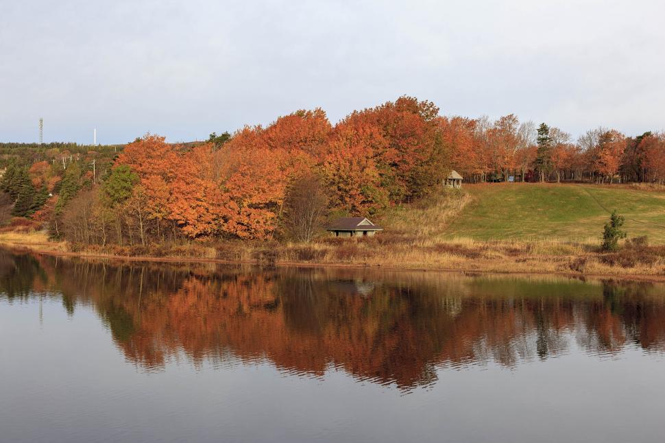 Free Image of Autumn colors 