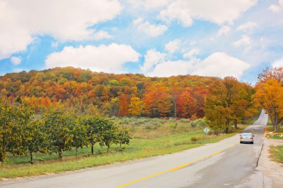 Free Image of Car in beautiful autumn forest 