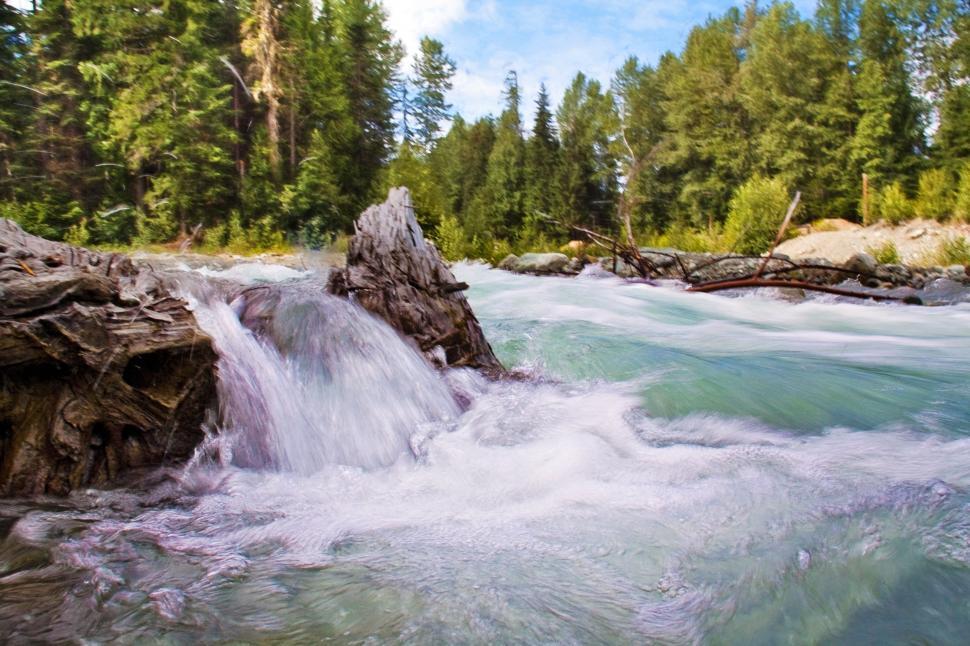 Free Image of Stream in the tropical forest 