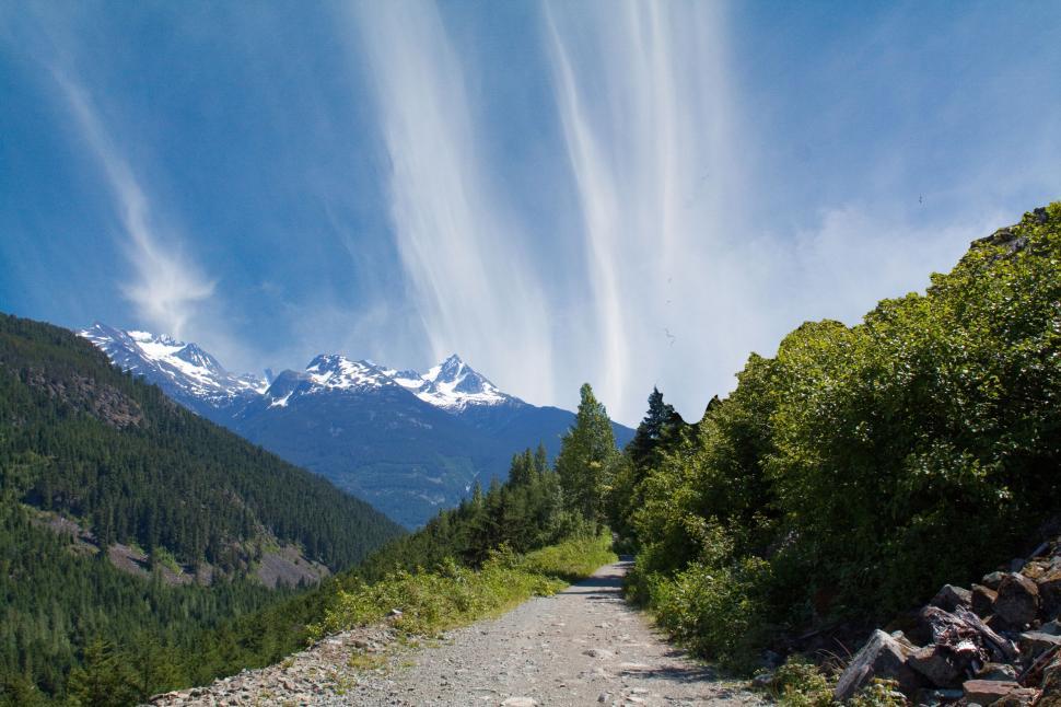 Free Image of Forest landscape 