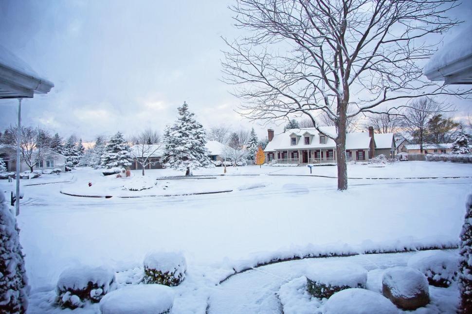 Free Image of Snowfall in the neighborhood 