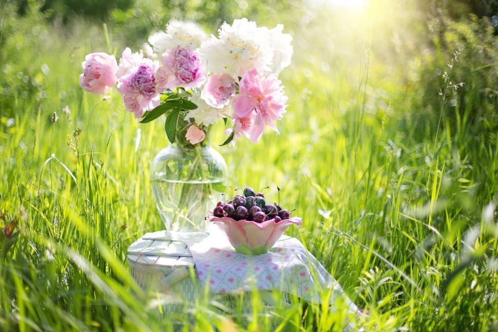 Free Image of Peony Flowers and Cherries placed on basket  