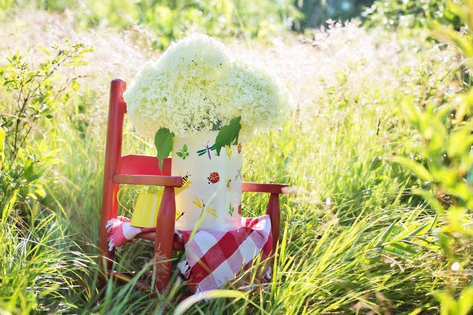 Free Image of Flower Bouquet 
