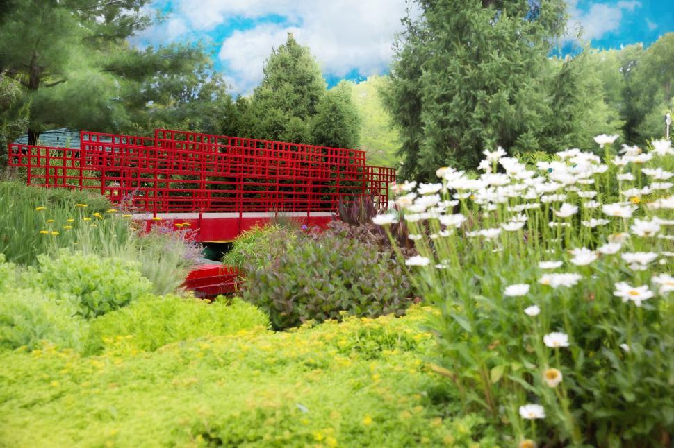 Free Image of Red Bridge and trees in the garden 