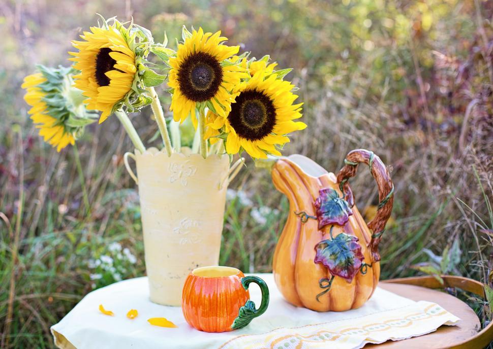 Free Image of Sunflowers with Pumpkin Shape Tea Cup 