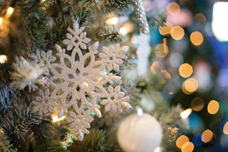Free Image of Xmas Tree with Bokeh Lights 