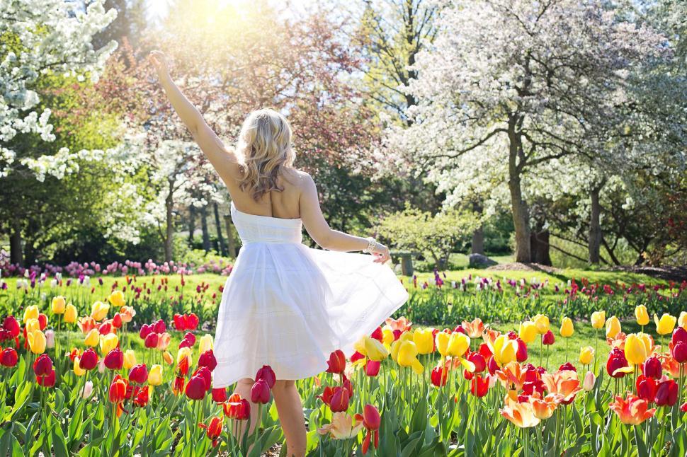 Free Image of Back View of Woman in Tulip Garden 