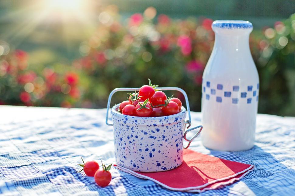 Free Image of Cherry Tomatoes and milk bottle 