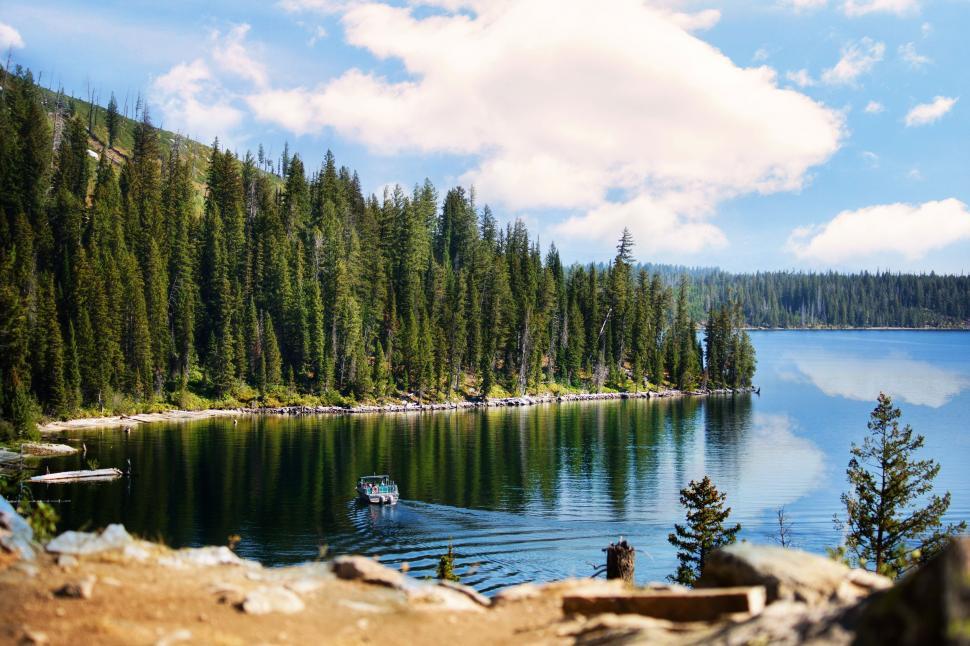 Free Image of Boat and Lake with Trees  