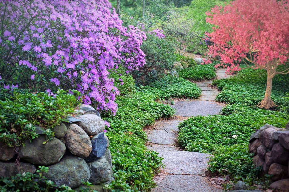 Free Image of Walkway in Garden  