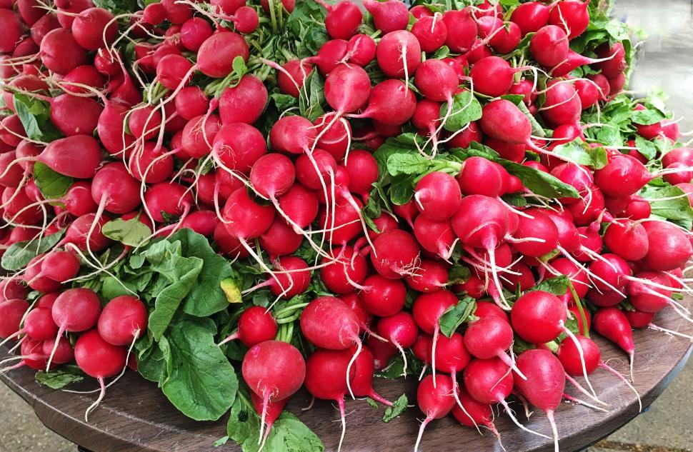 Free Image of Red radishes 