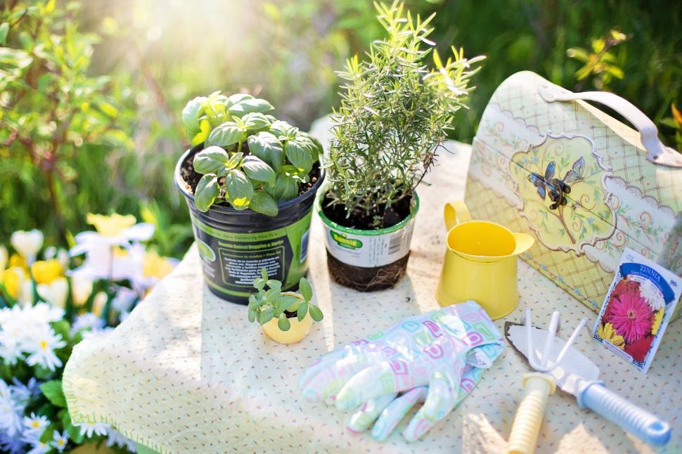 Free Image of Gardening Tools  